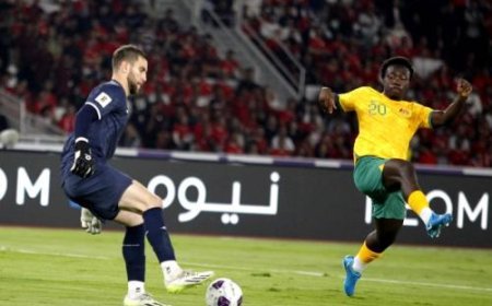 Perbandingan Statistik Emil Audero dan Maarten Paes Jelang Laga Timnas Indonesia