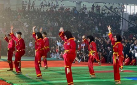 3.265 Peserta dari 20 Negara Ikuti Kejuaraan Pencak Silat Internasional di Sumut,